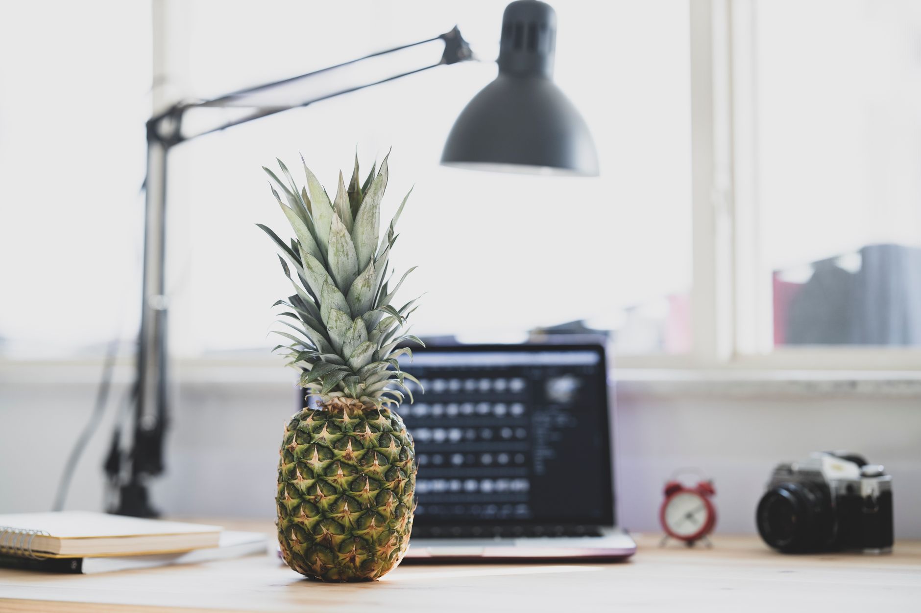 A bright, minimalist workspace featuring a pineapple, laptop, and camera with natural light streaming in.